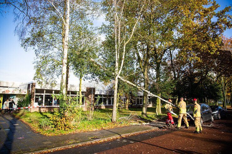 Boom bezwijkt door harde wind in Dieze - Foto: Hugo Janssen