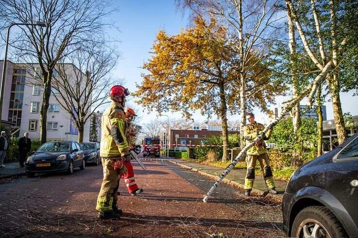 Boom bezwijkt door harde wind in Dieze - Foto: Hugo Janssen