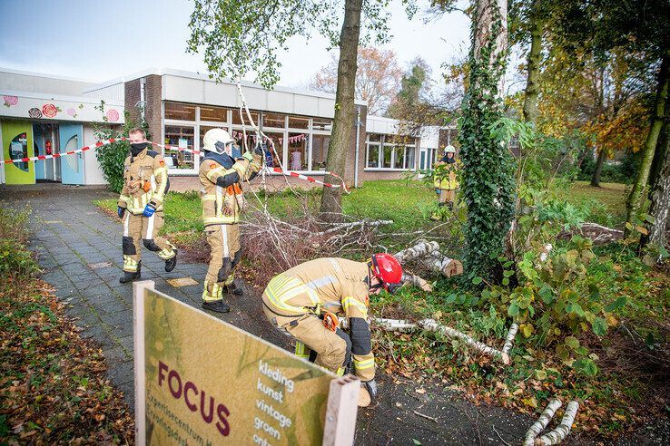 Boom bezwijkt door harde wind in Dieze - Foto: Hugo Janssen