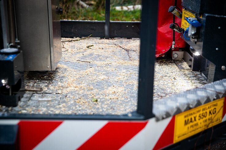 Boom bezwijkt door harde wind in Dieze - Foto: Hugo Janssen