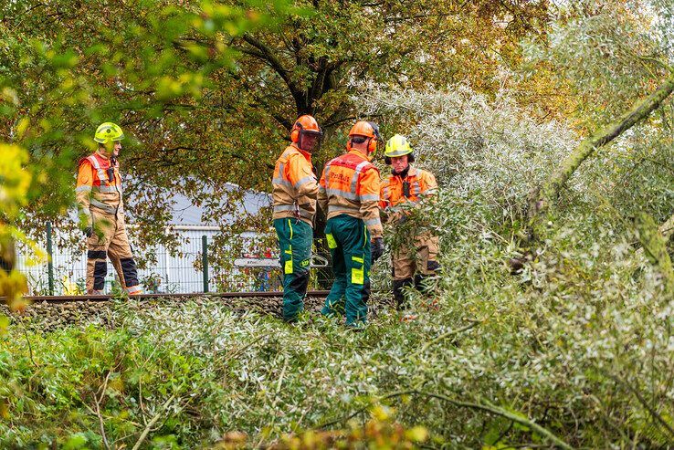 Incidentenbestrijders van ProRail verwijderen de boom op het spoor in Laag Zuthem. - Foto: Peter Denekamp