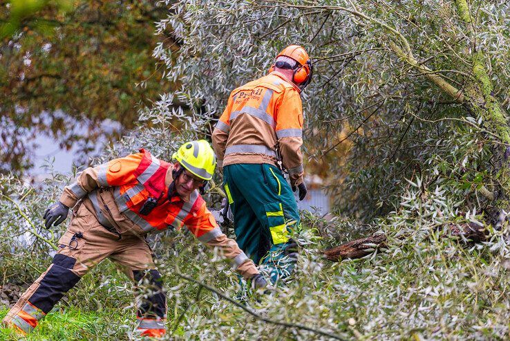 Urenlang geen treinen tussen Zwolle en Raalte door boom op spoor - Foto: Peter Denekamp