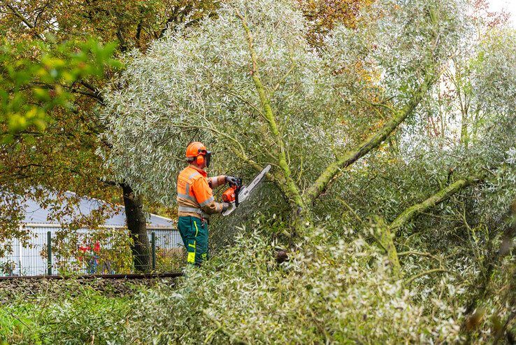 Urenlang geen treinen tussen Zwolle en Raalte door boom op spoor - Foto: Peter Denekamp