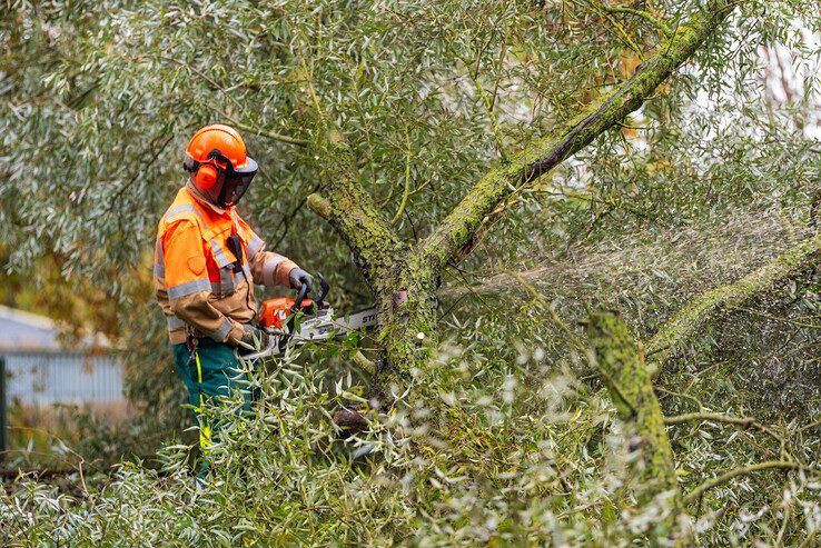 Urenlang geen treinen tussen Zwolle en Raalte door boom op spoor - Foto: Peter Denekamp