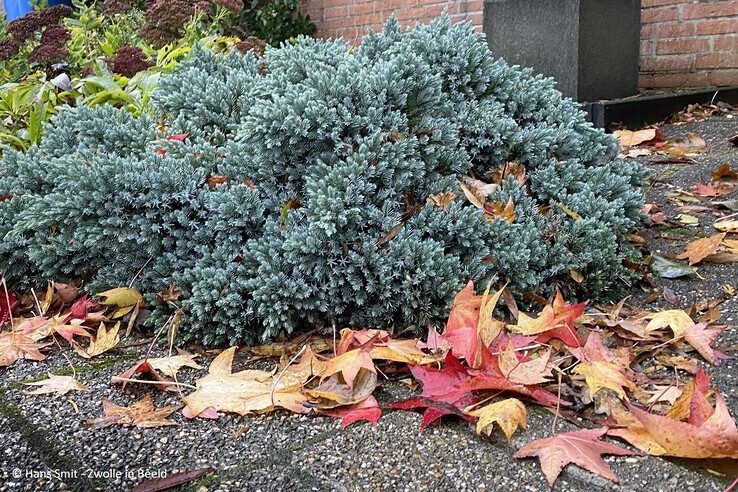 Herfst - Foto: Hans Smit