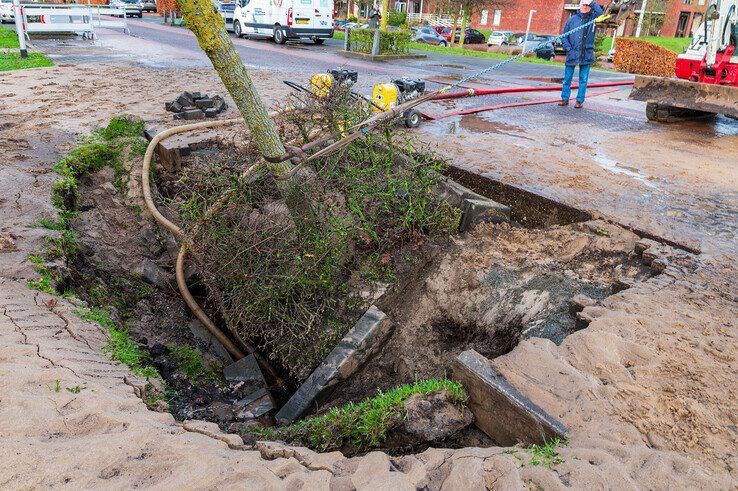 Een boom sneuvelde door de leidingbreuk. - Foto: Peter Denekamp