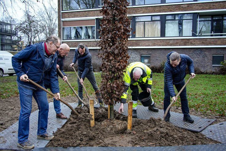 Gemeente en Rova planten 165 nieuwe bomen in Zwolle - Foto: Obbe Bakker