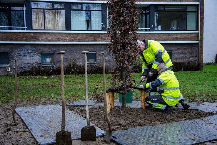 Gemeente en Rova planten 165 nieuwe bomen in Zwolle - Foto: Obbe Bakker