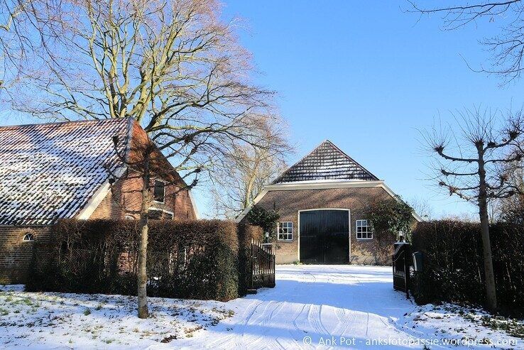 Sneeuw begin januari op de Helderlichtsteeg. - Foto: Ank Pot