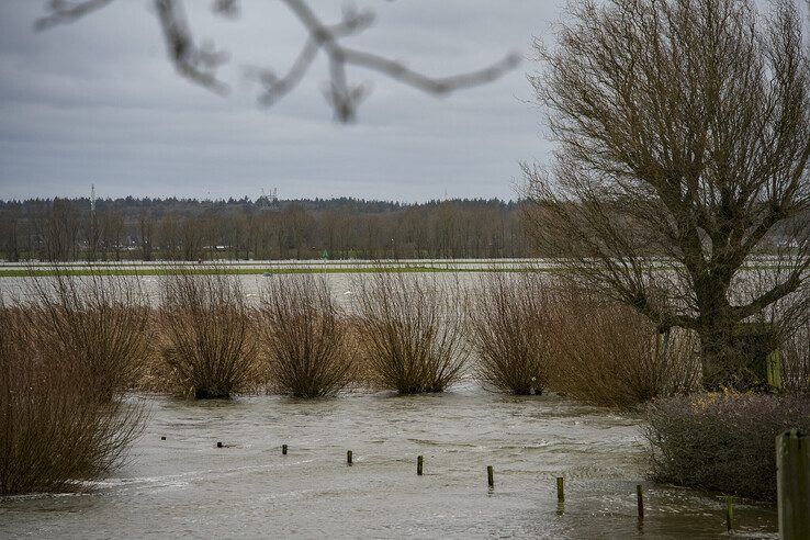 Hoogwater in de IJssel in december 2023. - Foto: Obbe Bakker