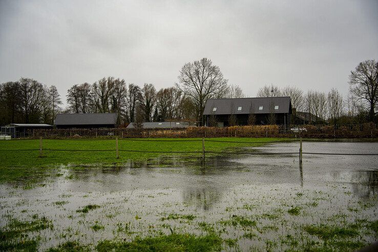 Ondergelopen grasland in de buurt van Zwolle in december 2023. - Foto: Obbe Bakker