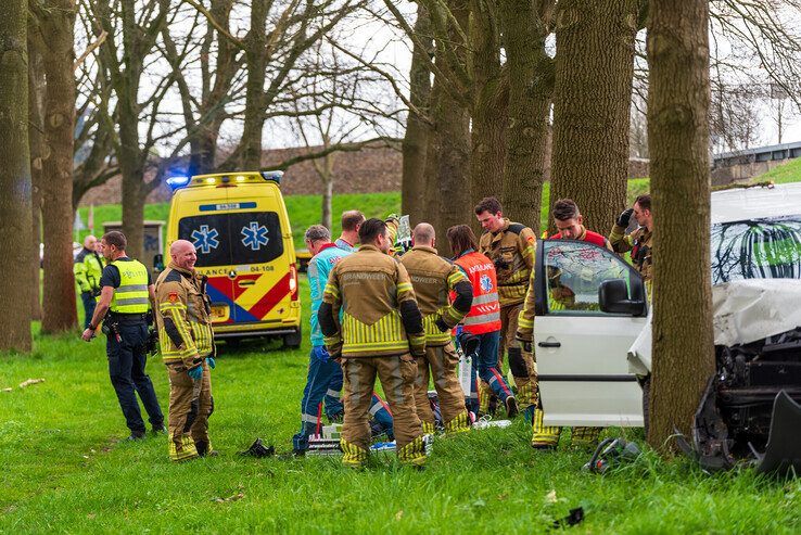 De automobilist reed van het talud af en crashte tegen een boom. - Foto: Peter Denekamp