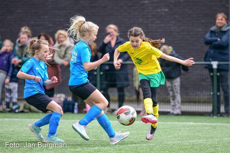 In beeld: Finaledag schoolvoetbal Zwolle - Foto: Jan Burgman