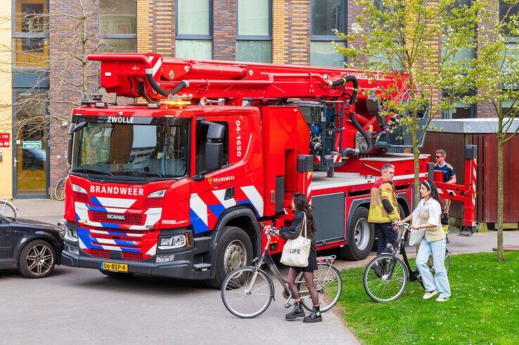 Studentenhuisvester SSH houdt jarenlange traditie in ere: drie vogels vast achter glas bij studentenflats, eentje overleden - Foto: Peter Denekamp