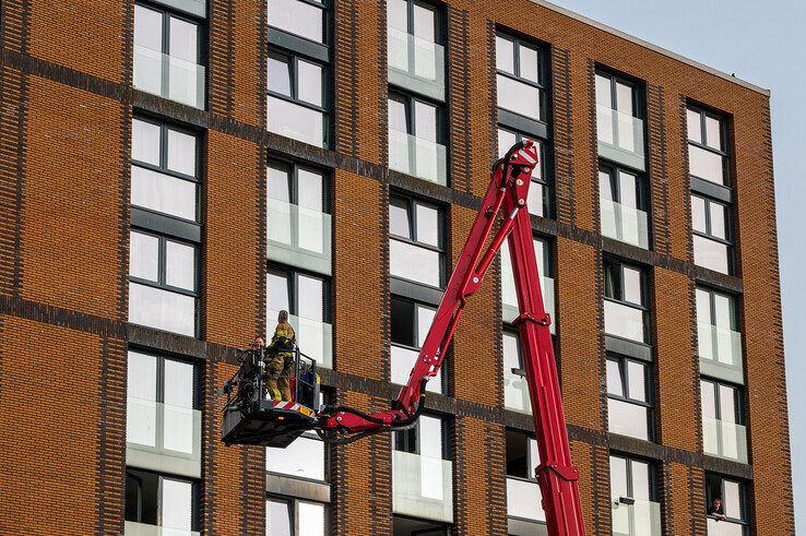 Studentenhuisvester SSH houdt jarenlange traditie in ere: drie vogels vast achter glas bij studentenflats, eentje overleden - Foto: Peter Denekamp