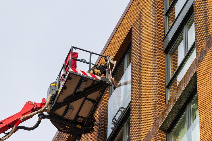 Studentenhuisvester SSH houdt jarenlange traditie in ere: drie vogels vast achter glas bij studentenflats, eentje overleden - Foto: Peter Denekamp