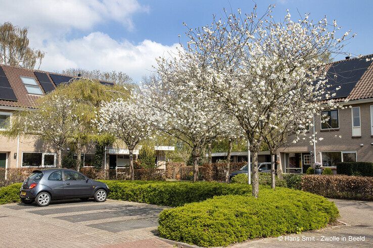 Eerbeek in het voorjaar van 2023. - Foto: Hans Smit