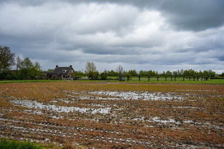 Omgeving Windesheim - Foto: Obbe Bakker