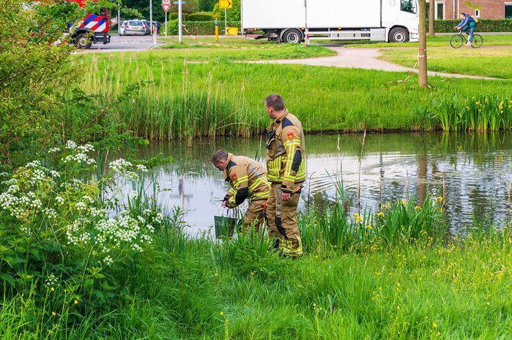 Pyromaan vroeg uit de veren in Park de Wezenlanden - Foto: Peter Denekamp