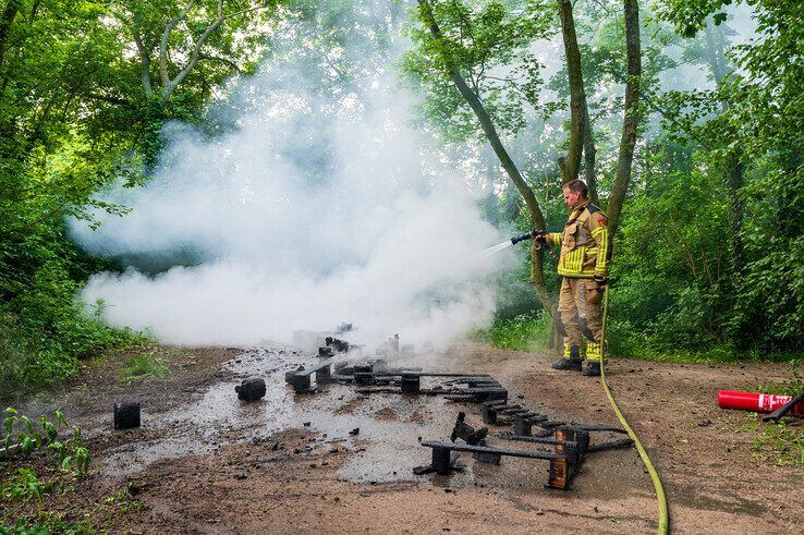 Pyromaan vroeg uit de veren in Park de Wezenlanden - Foto: Peter Denekamp