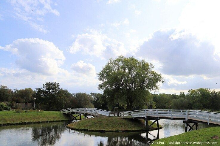 Dobbevijver - Foto: Ank Pot