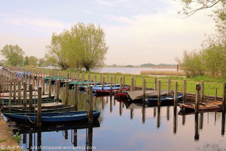 Haventje aan de Noorderkolk. - Foto: Ank Pot