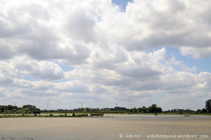 Hoogwater in de Vreugderijkerwaard. - Foto: Ank Pot