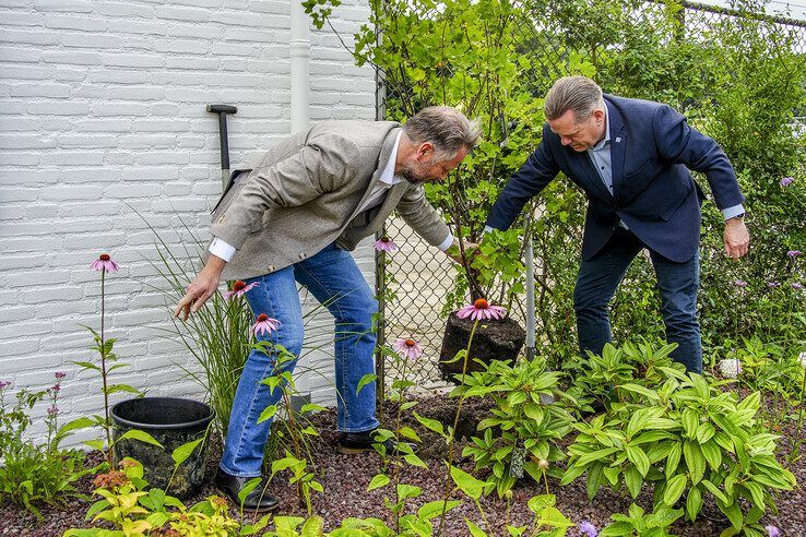 Martijn Dadema en Arjan Spaans planten een heester. - Foto: Obbe Bakker