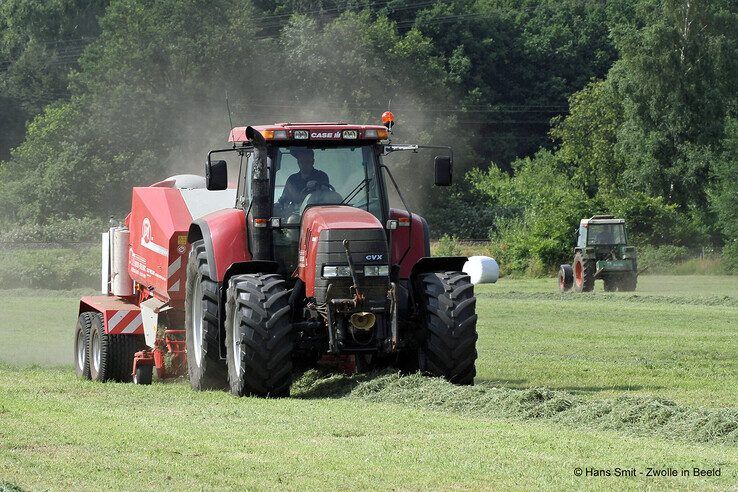 In het buitengebied van Zwolle.  - Foto: Hans Smit