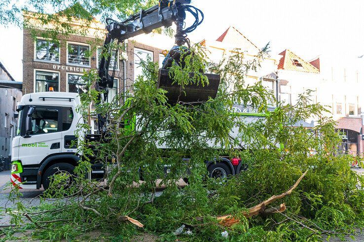 Grote tak valt spontaan uit boom in Diezerstraat - Foto: Peter Denekamp