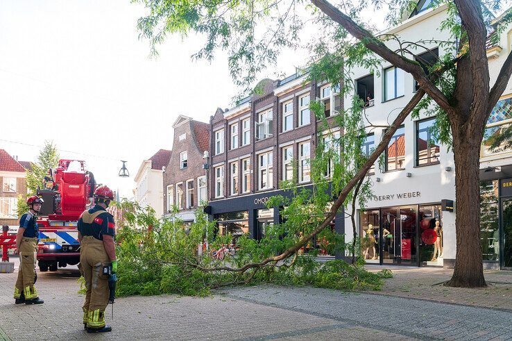 Brandweerlieden bij de afgebroken tak in de Diezerstraat. - Foto: Peter Denekamp