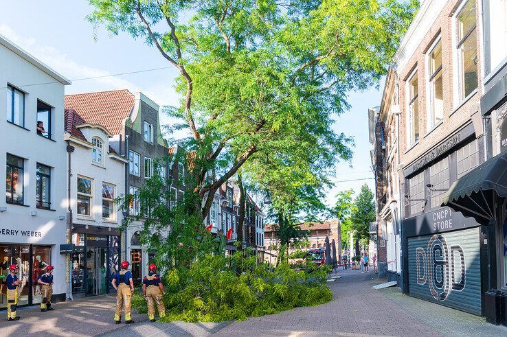 Grote tak valt spontaan uit boom in Diezerstraat - Foto: Peter Denekamp