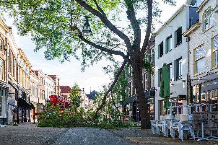 Grote tak valt spontaan uit boom in Diezerstraat - Foto: Peter Denekamp