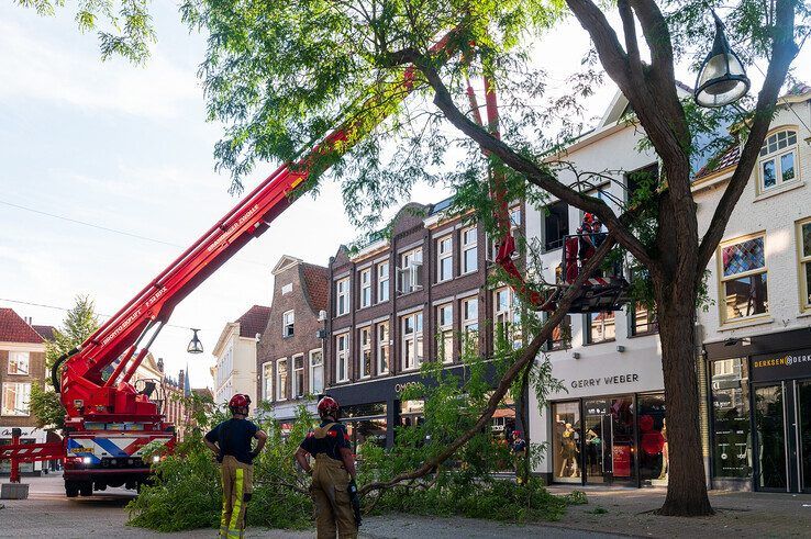 Grote tak valt spontaan uit boom in Diezerstraat - Foto: Peter Denekamp