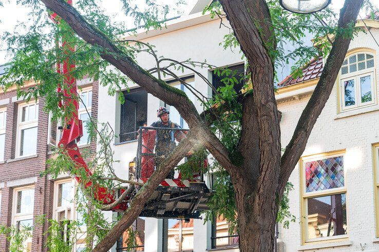 Grote tak valt spontaan uit boom in Diezerstraat - Foto: Peter Denekamp