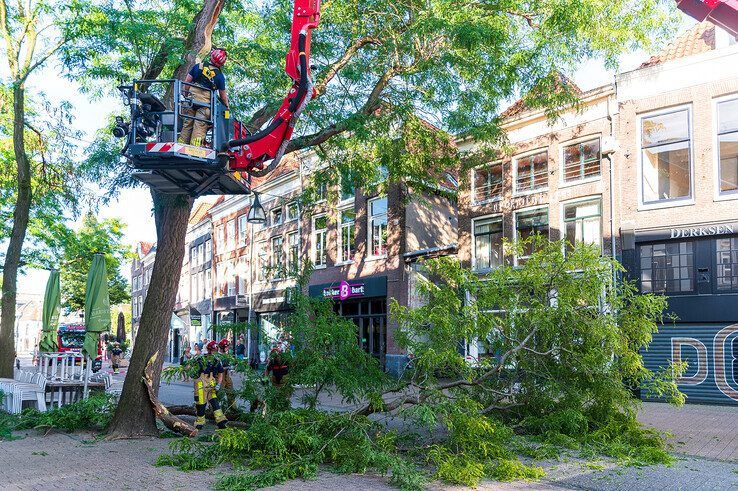 Grote tak valt spontaan uit boom in Diezerstraat - Foto: Peter Denekamp