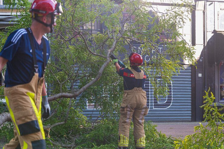 Grote tak valt spontaan uit boom in Diezerstraat - Foto: Peter Denekamp