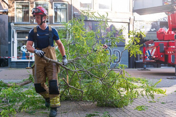 Grote tak valt spontaan uit boom in Diezerstraat - Foto: Peter Denekamp