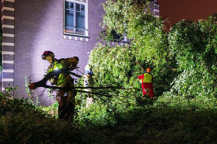 Brandweerlieden verwijderen de omgewaaide boom op het Goltspad. - Foto: Peter Denekamp