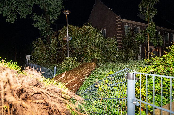 Overlast door voorspelde noodweer blijft in Zwolle beperkt tot omgewaaide boom - Foto: Peter Denekamp