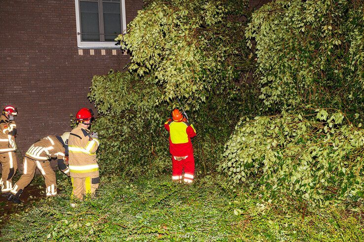 Overlast door voorspelde noodweer blijft in Zwolle beperkt tot omgewaaide boom - Foto: Peter Denekamp