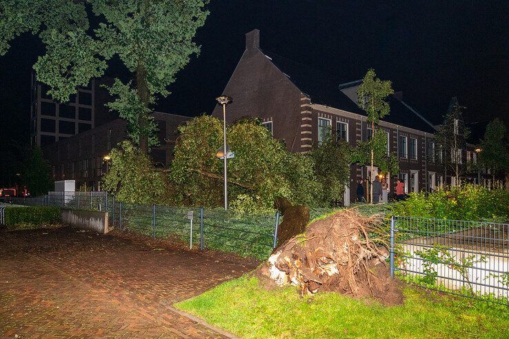 Overlast door voorspelde noodweer blijft in Zwolle beperkt tot omgewaaide boom - Foto: Peter Denekamp