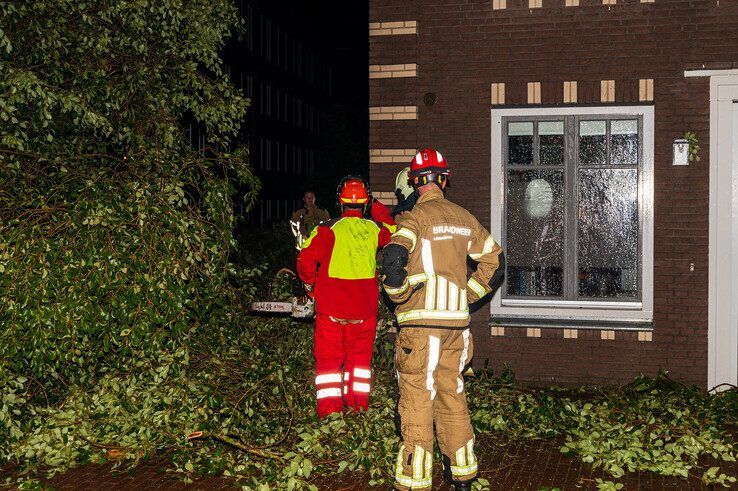 Overlast door voorspelde noodweer blijft in Zwolle beperkt tot omgewaaide boom - Foto: Peter Denekamp