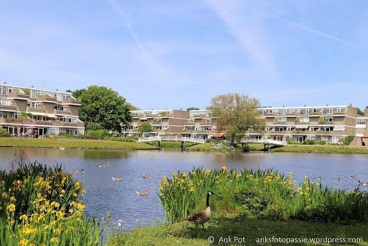 Terrasflats in de Aa-landen. - Foto: Ank Pot