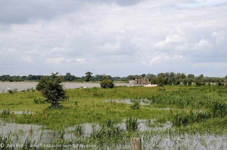 Vogelkijkhut in een ondergelopen Vreugderijkerwaard afgelopen juni. - Foto: Ank Pot