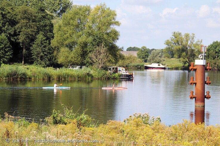 Bij het Westerveldse Bos. - Foto: Ank Pot