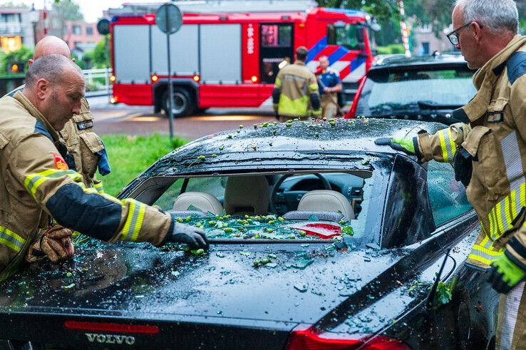 De achterruit van een geparkeerde auto ging aan diggelen door de vallende tak. - Foto: Peter Denekamp