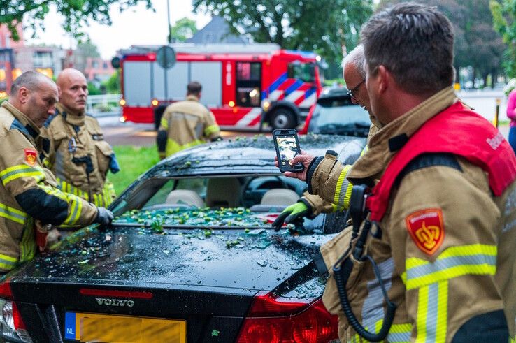 Grote tak valt op geparkeerde auto op Groot Wezenland - Foto: Peter Denekamp