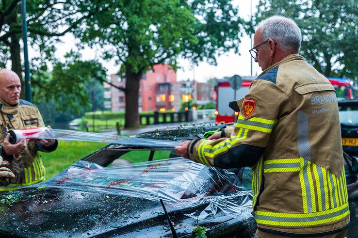 Grote tak valt op geparkeerde auto op Groot Wezenland - Foto: Peter Denekamp