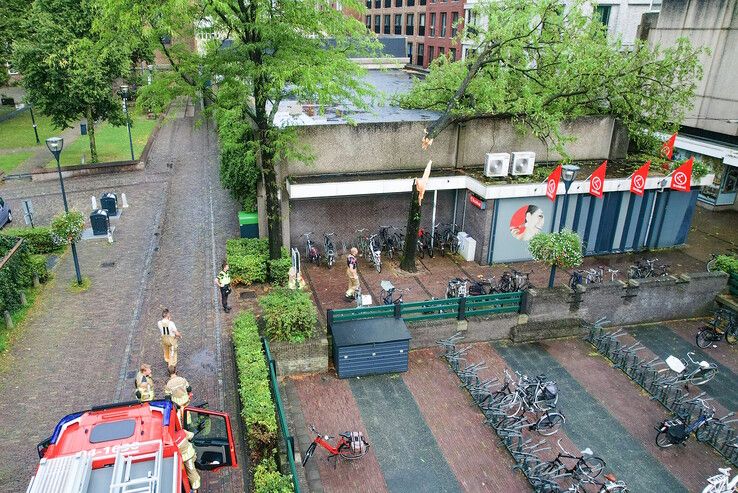 Een flink deel van de boom ligt op het dak van het Kruidvat. - Foto: Hugo Janssen